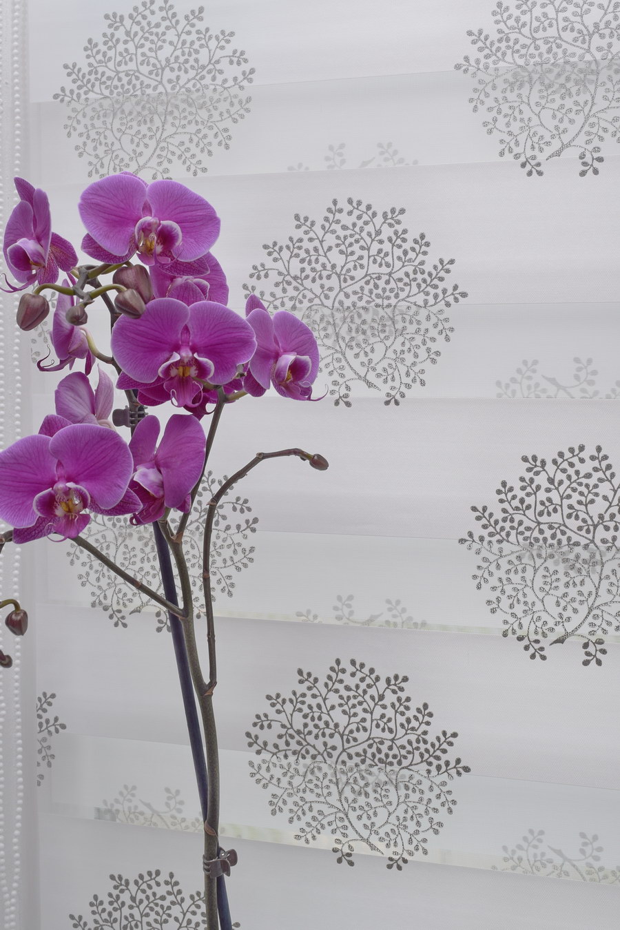 Рольшторы День-Ночь МИНИ СЕРЕБРО DECOR