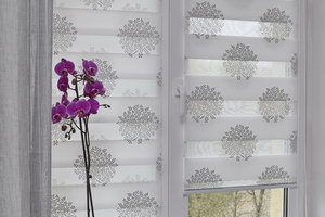 Рольшторы День-Ночь DECOR