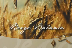 Шторы плиссе BEIGE BALANCE