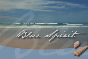 Шторы плиссе BLUE SPIRIT