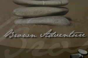 Шторы плиссе BROWN ADVENTURE