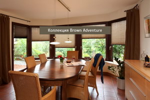 Шторы плиссе BROWN ADVENTURE
