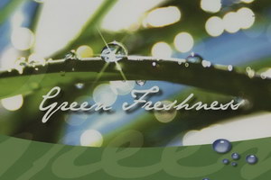 Шторы плиссе GREEN FRESHNESS