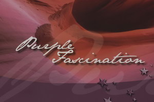 Шторы плиссе PURPLE FASCINATION