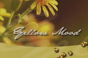 Шторы плиссе YELLOW MOOD