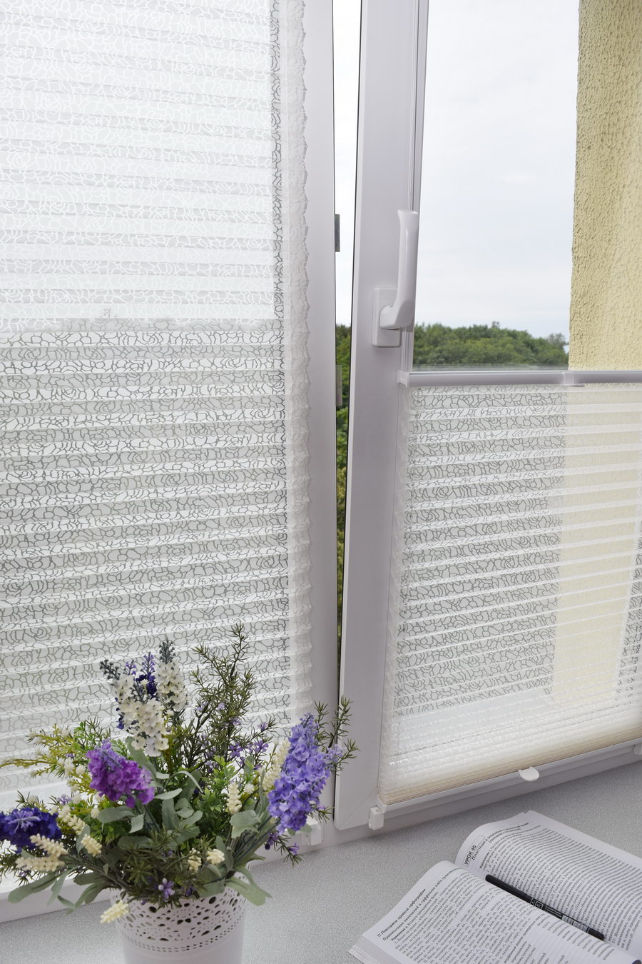 Шторы плиссе BASIC WHITE TRANSPARENT