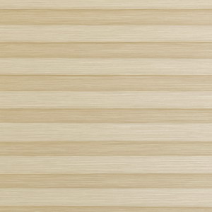 sand-shell