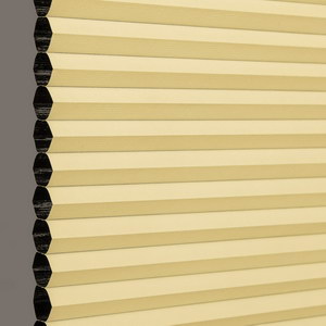 lemon-shadow