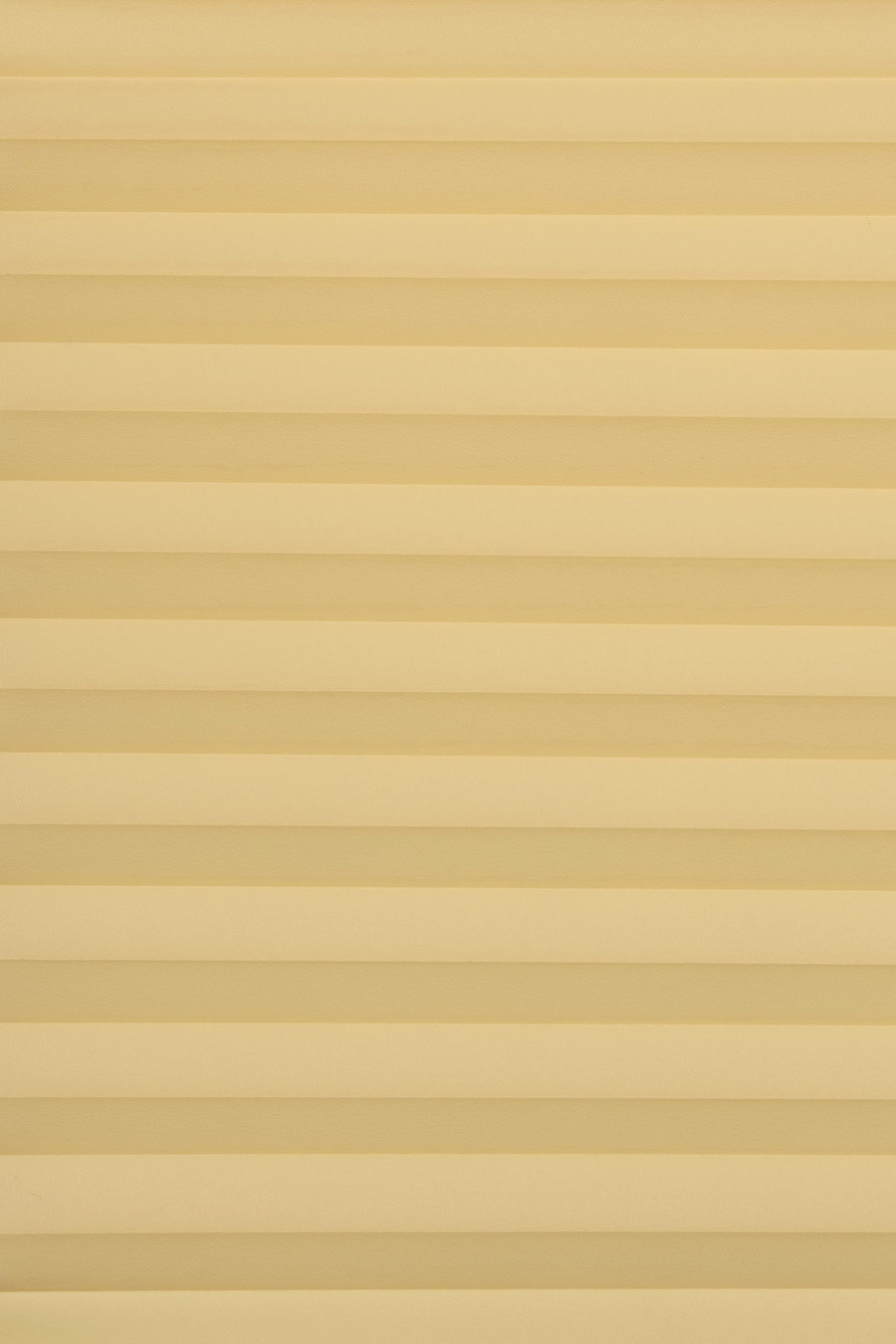 cane-sugar SINUS 10603