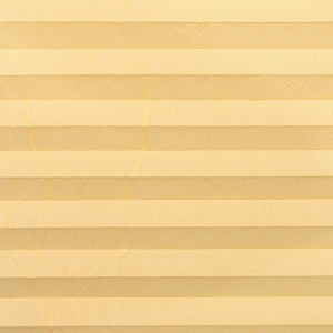 vanilla