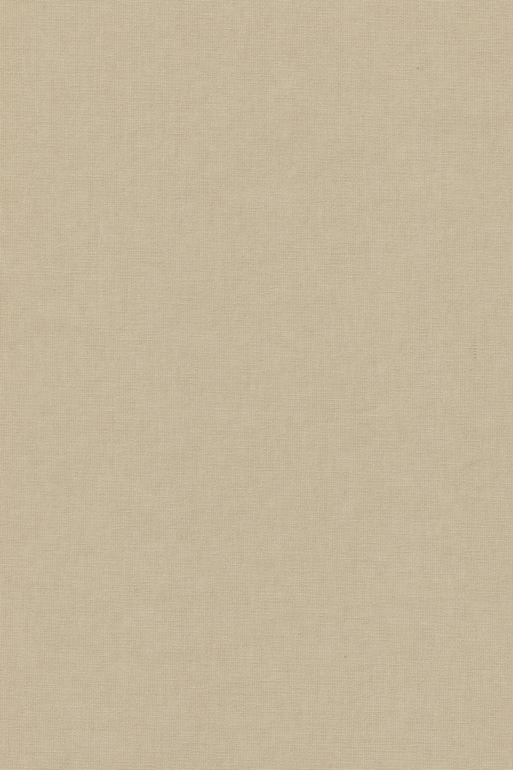 Ткань CLASSIC BLO БЕЖЕВЫЙ 1151-2326 для рольштор