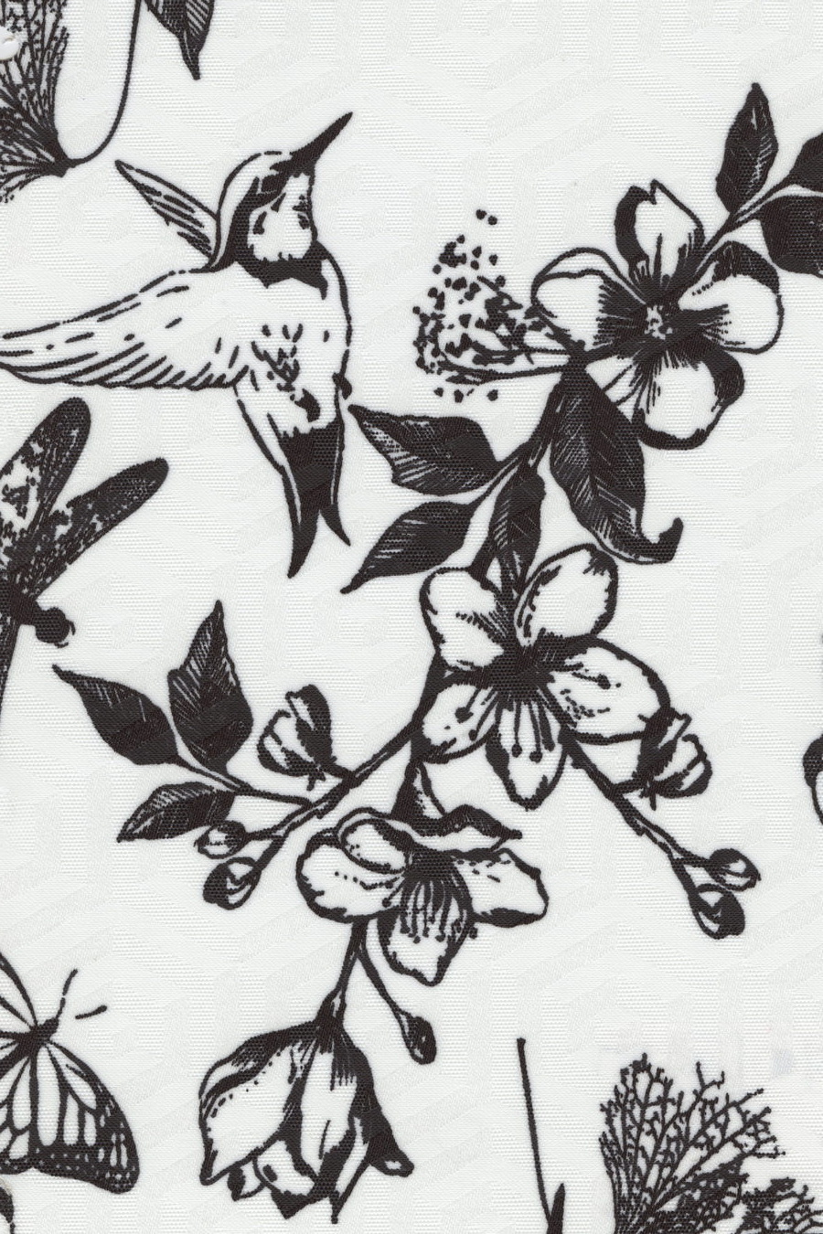 spring 5823