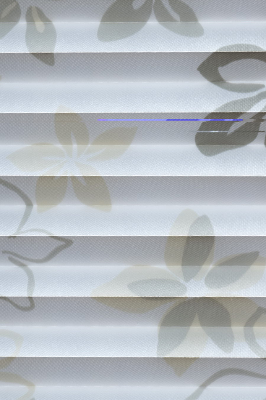 Herbarium PRIMAVERA 30313