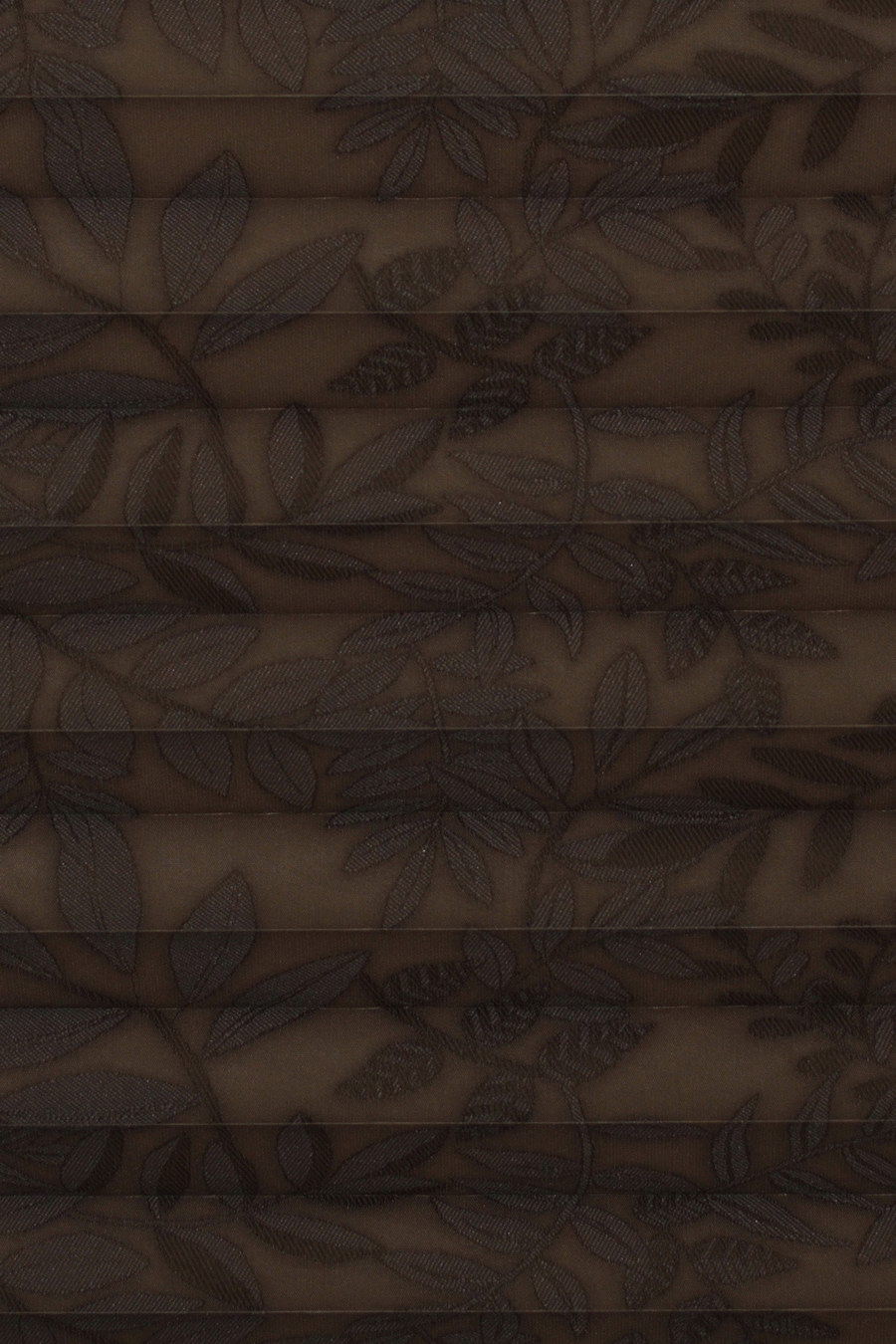 Brown SAMOA 0003