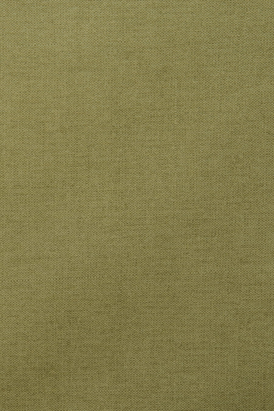 коллекция GREEN VIRGARDEN / ткань ABANY / цвет 25 ACEITE